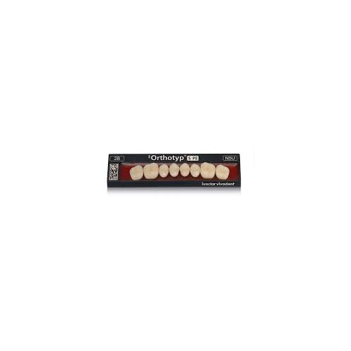 SR ORTHOTYP-S-PE/8