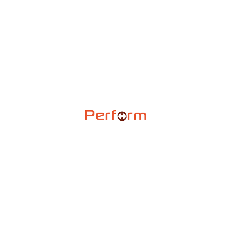 PERFORM RESINE 5KG POLYMERISANT A FROID