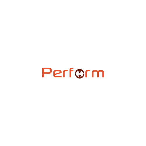 PERFORM RESINE 5KG POLYMERISANT A FROID